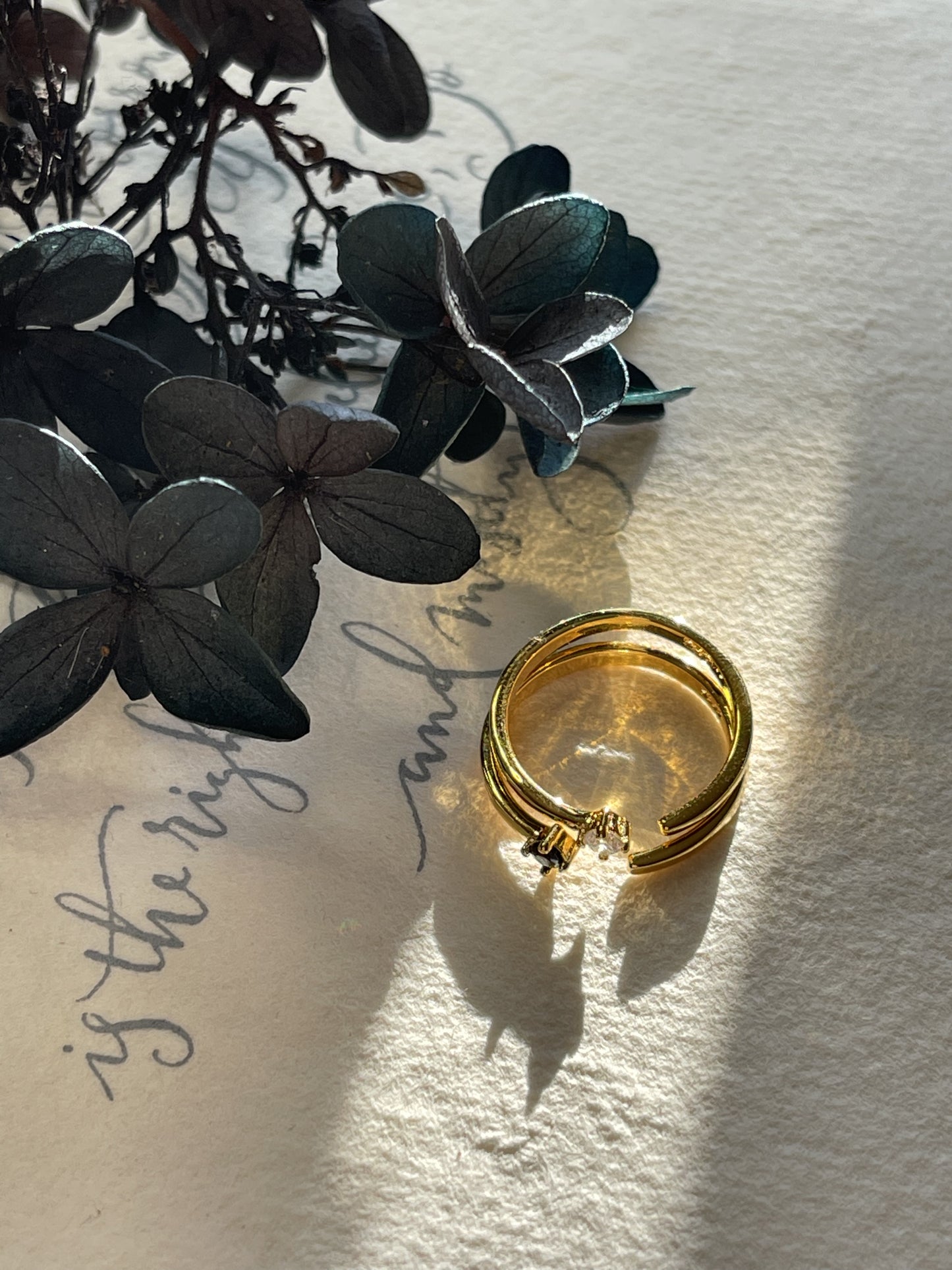 Leslie Gemini Diamonds Ring